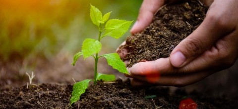 Continúa el asesoramiento en Agroecología