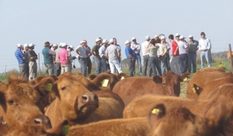 La Gira Ganadera llega a Salliqueló