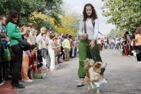 Organizan un desfile de mascotas en la plaza