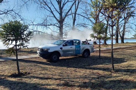 Realizaron tareas de fumigación contra mosquitos