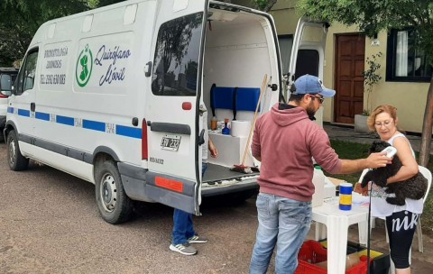 Convocan voluntarios para colaborar en las jornadas de castración