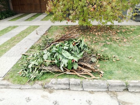 El miércoles no se realizará la recolección de ramas y escombros