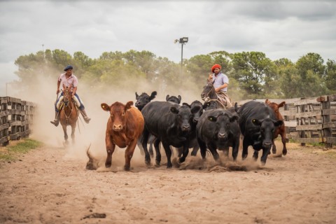 Bermejo & CIA Consignatarios anunció un nuevo Remate Feria