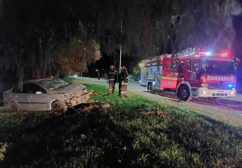 Un automóvil impactó contra un árbol en el Acceso Centenario
