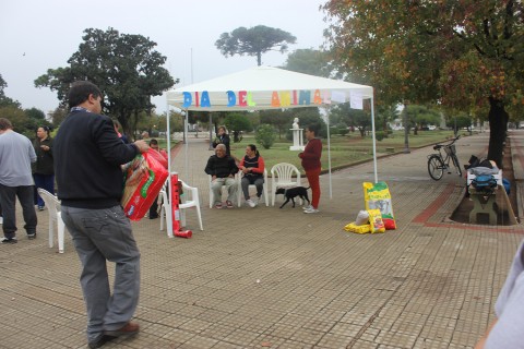 Colecta solidaria para los perros del refugio 