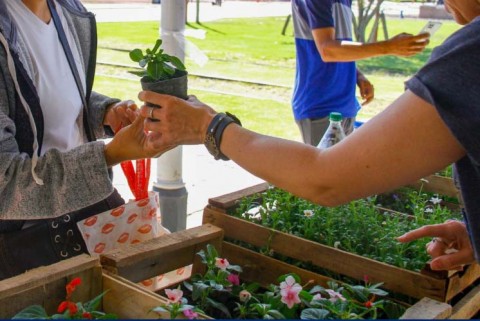 Invitan a participar de una jornada de “Ecocanje de plástico”