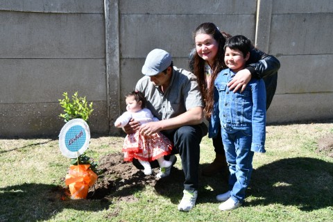 Este sábado se celebra la 26° Edición del “Nace un niño, nace un árbol”