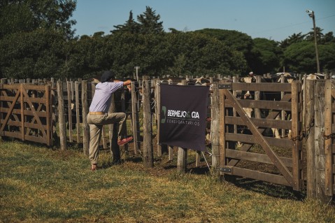 Bermejo & CIA Consignatarios anunció su 51° Remate de Hacienda