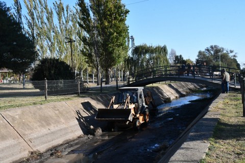 Limpieza del canal en el Paseo del Lago