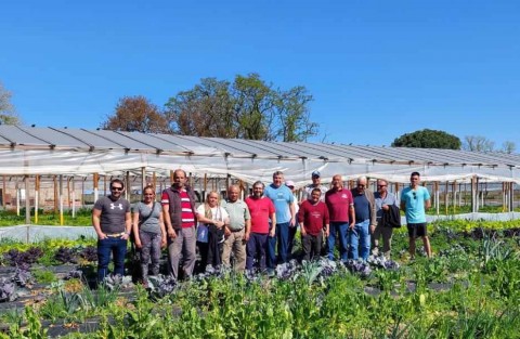 Entregaron semillas a productores hortícolas 