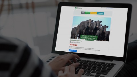 Bermejo & CIA Consignatarios anuncia Remate Feria Virtual