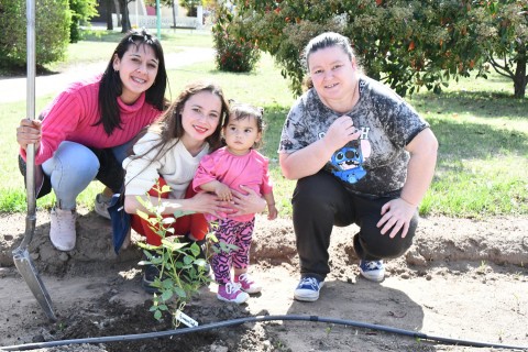 Nueva edición de “Nace un niño, nace un árbol” en Quenumá