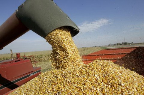 Cese de comercialización de granos y asamblea en Pergamino 
