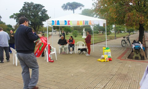 Colecta de alimento balanceado por el “Día del Animal”