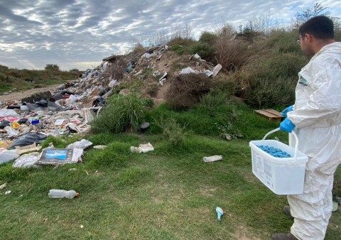 Tareas de desratización en el basurero municipal