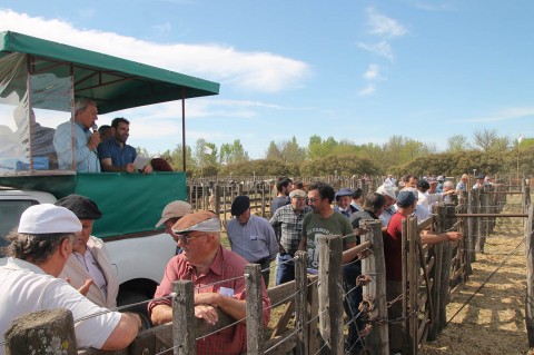 Bermejo & CIA Consignatarios anunció su Remate Feria Aniversario