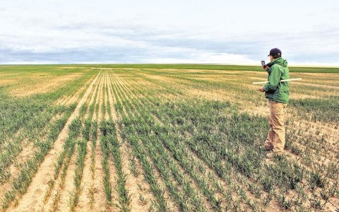 Prórroga de la emergencia agropecuaria por sequía