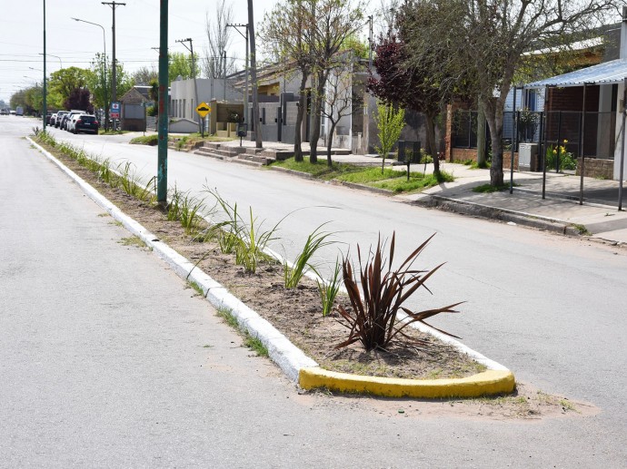 Continúa la limpieza y mantenimiento de espacios verdes