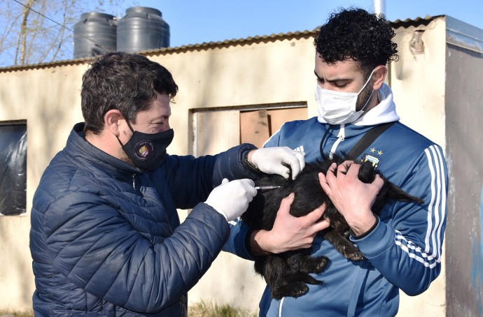 Vacunación antirrábica para perros y gatos en el Barrio Yani