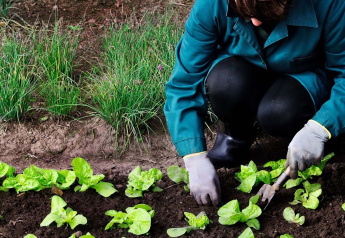 Dictan el curso anual de Horticultura Agroecológica