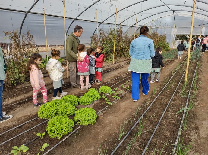 Alumnos del Jardín de Infantes 903 visitaron el Vivero Municipal