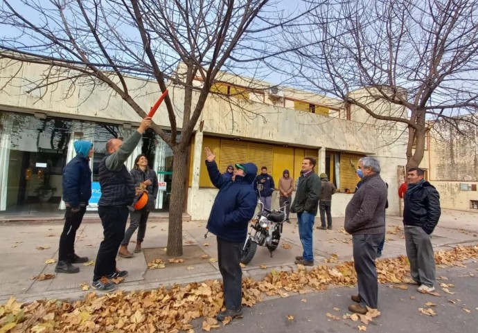 Dictaron la capacitación sobre poda y arbolado urbano