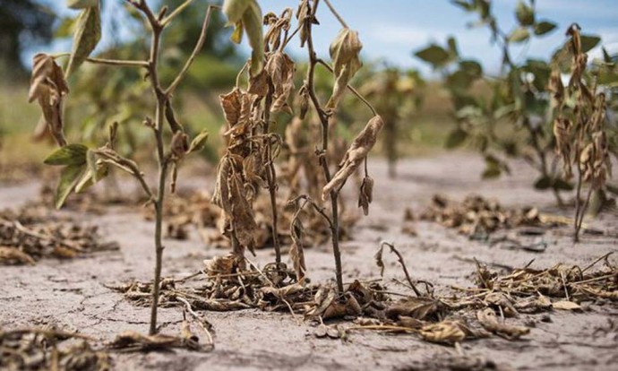 Prórroga de Emergencia Agropecuaria