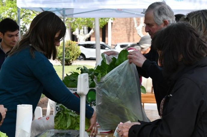 Se repetirá periódicamente la Feria de Verduras de Producción Local 