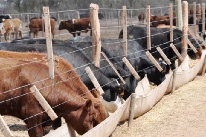 Dictan una capacitación sobre manejo de hacienda en los corrales