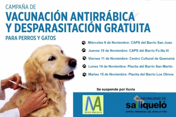 Campaña de desparasitación y vacunación para perros y gatos 