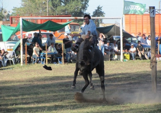 Suspenden espectáculo del domingo