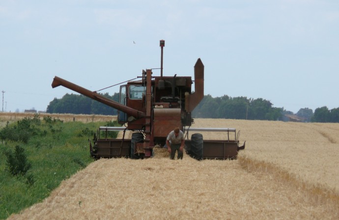 La cosecha de trigo alcanzaría el récord de 21 millones de toneladas