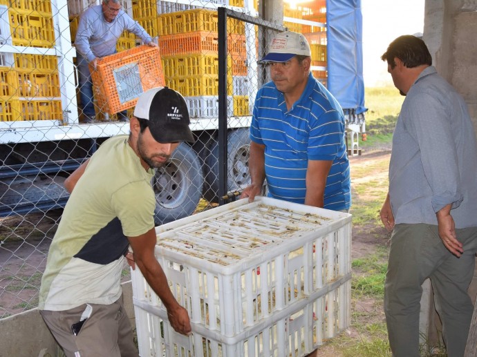 Comenzó a funcionar la Unidad Productiva Avícola