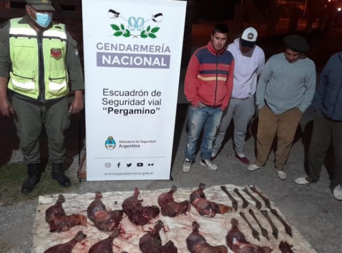 Secuestraron carne de ñandúes y liebres cazadas en la zona de Salliqueló 