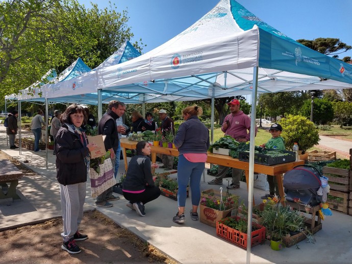 Se realizó la tercera feria de verduras de producción local