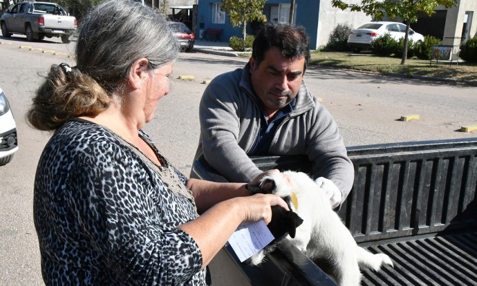 Comenzó la campaña de vacunación antirrábica