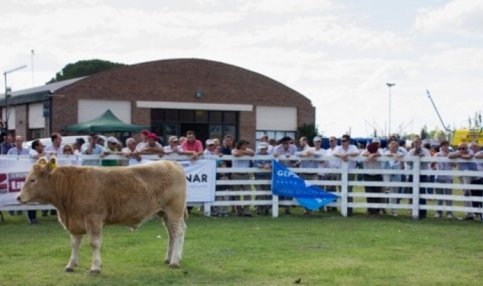 Suspenden la Expo Rural de Tres Lomas 