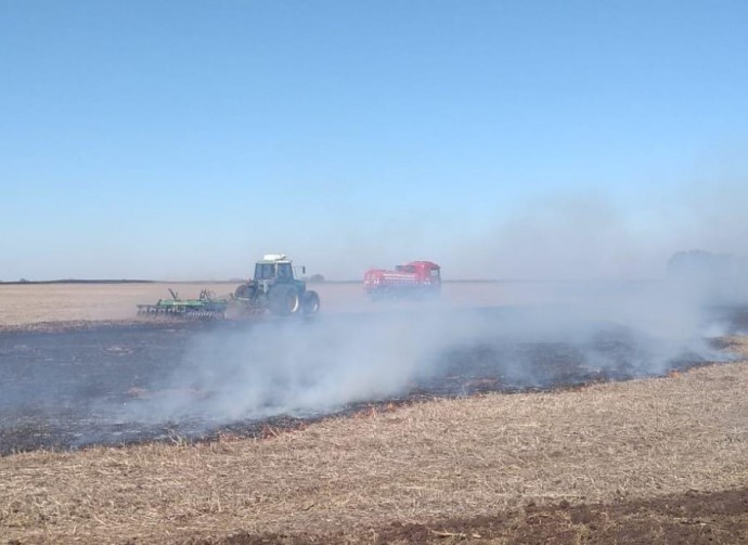 Bomberos evitaron que un siniestro afecte maíz sin cosechar