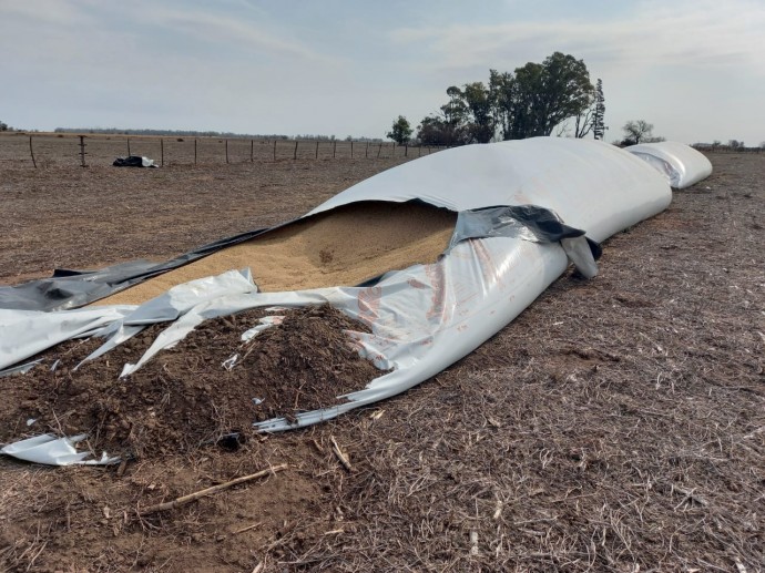 Robo de soja en dos establecimientos agropecuarios