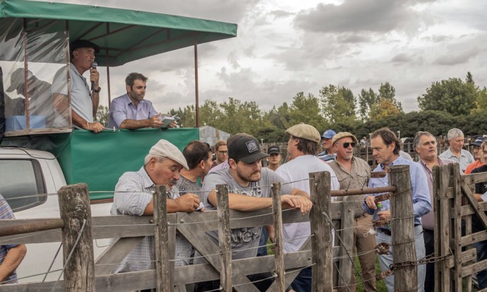 Bermejo & CIA Consignatarios anunció su primer remate del año