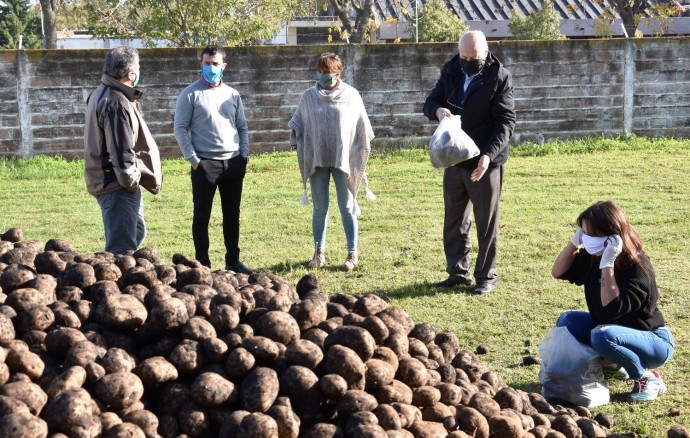 Tres Lomas recibió la donación de 7.500 kg de papas