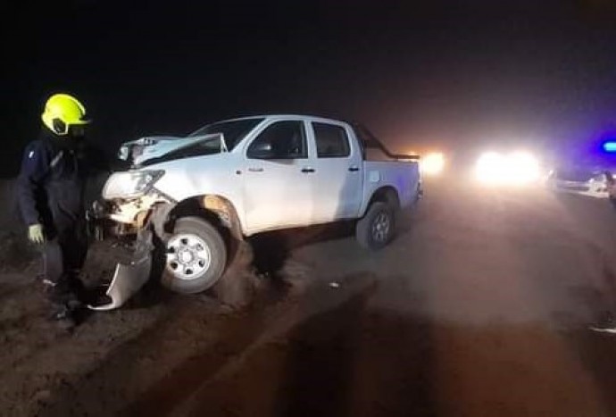 Una camioneta colisionó contra dos novillos