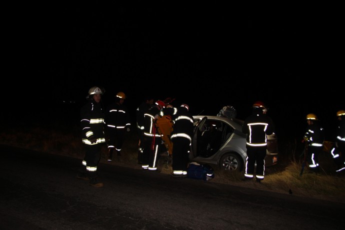 Un automóvil colisionó contra un jabalí en Ruta 85