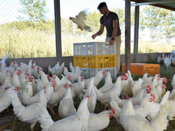 Comenzó a funcionar la Unidad Productiva Avícola