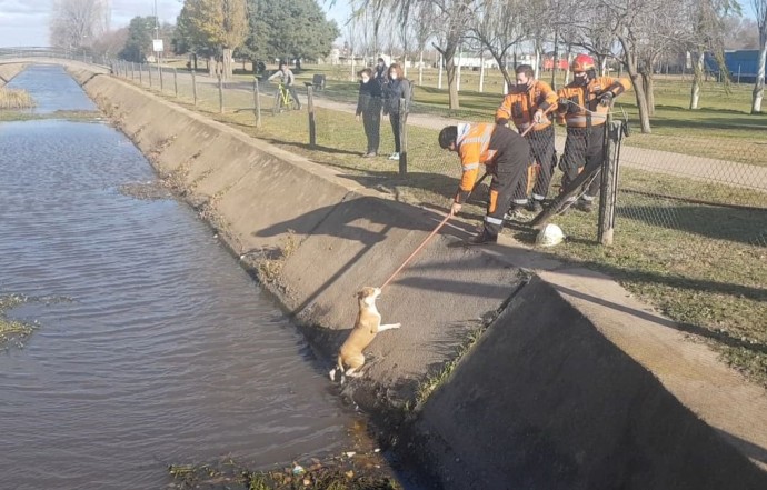 Bomberos rescataron un perro del canal del Paseo del Lago