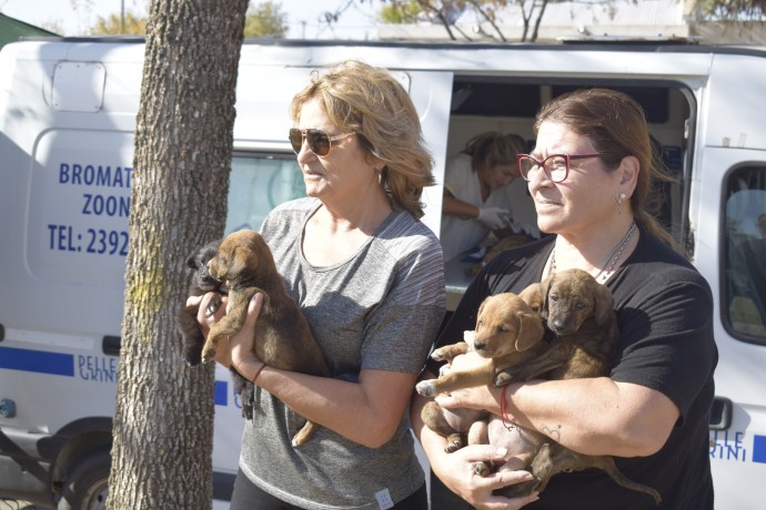 Se llevó adelante una jornada por el Día del Animal