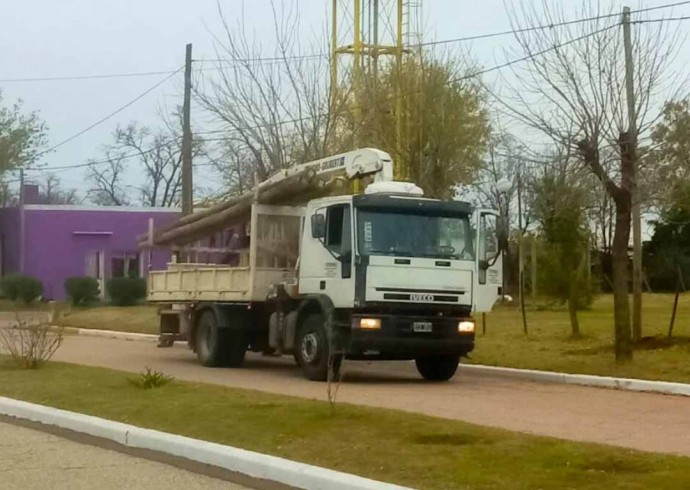 Continúan los trabajos de poda preventiva