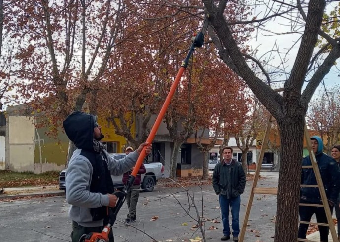 Dictaron la capacitación sobre poda y arbolado urbano