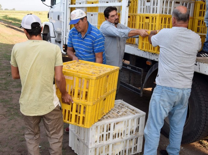 Comenzó a funcionar la Unidad Productiva Avícola