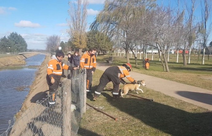 Bomberos rescataron un perro del canal del Paseo del Lago